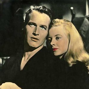 Bilder Süßer Vogel Jugend