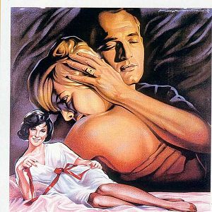 Bilder Süßer Vogel Jugend