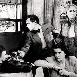 Bilder Eine Dame verschwindet