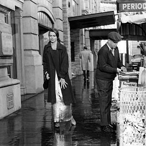 Bilder Dorothy Malone