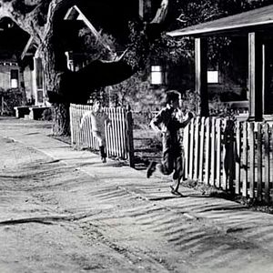 Bilder Wer die Nachtigall stört