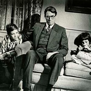 Bilder Wer die Nachtigall stört