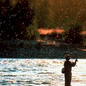 Bilder Robert Redford