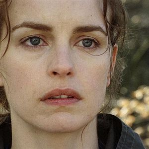 Bilder Das Herz ist ein dunkler Wald