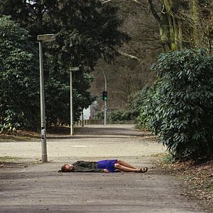 Bilder Das Herz ist ein dunkler Wald