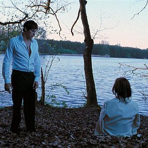 Bilder Das Herz ist ein dunkler Wald