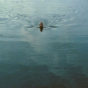 Bilder Das Herz ist ein dunkler Wald