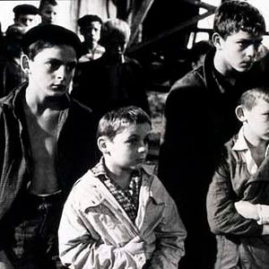 Bilder Louis Pergaud