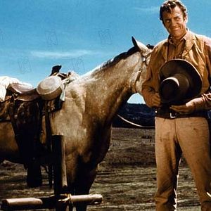 Bilder Rauchende Colts