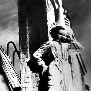 Bilder Alfred Hitchcock