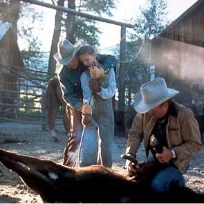 Bilder Robert Redford