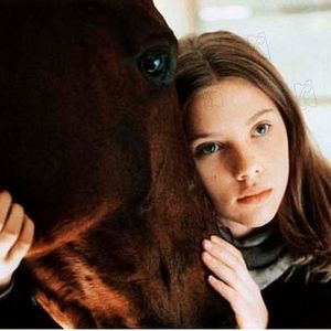 Bilder Robert Redford