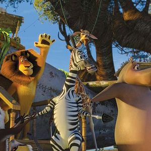 Bilder Madagascar 2