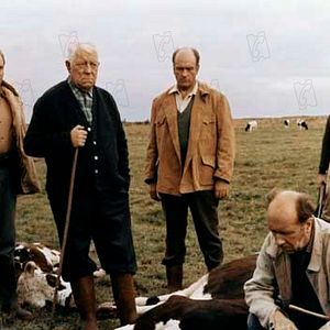 Bilder Der Erbarmungslose