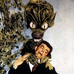 Bilder Edward L. Cahn