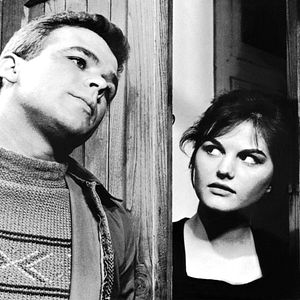 Bilder Diebe haben's schwer