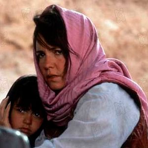 Bilder Brian Gilbert