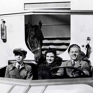 Bilder Alfred E. Green