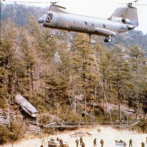 Bilder King Kong lebt