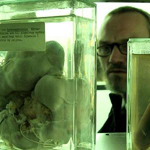 Bilder Baltasar Kormákur