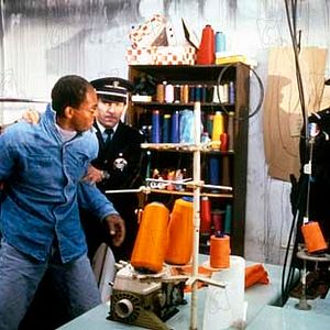 Bilder Merci mon chien