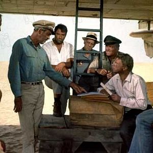 Bilder Richard Attenborough