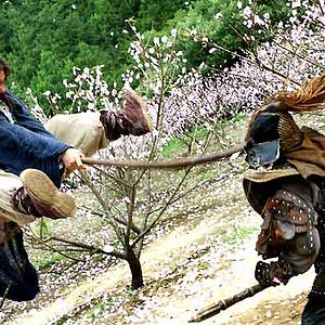 Bilder Forbidden Kingdom