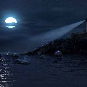 Bilder Happy Fish - Hai-Alarm und frische Fische