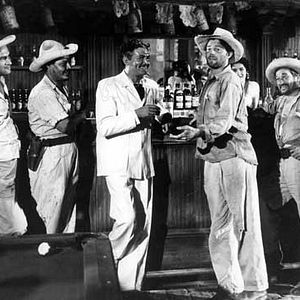 Bilder Die Hochmütigen