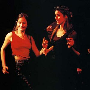 Bilder Der Lockvogel