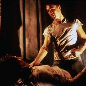 Bilder Carl Schenkel