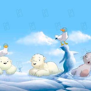 Bilder Piet De Rycker