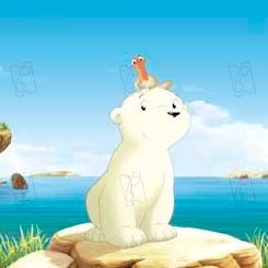 Bilder Piet De Rycker