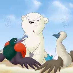 Bilder Piet De Rycker