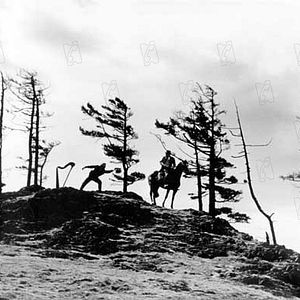 Bilder Die schwarze Füchsin