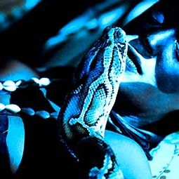 Bilder Carole Karemera