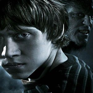 Bilder Harry Potter und der Halbblutprinz