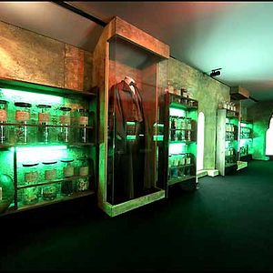 Bilder Harry Potter und der Halbblutprinz