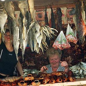 Bilder Primo Levis Reise