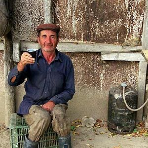 Bilder Primo Levis Reise