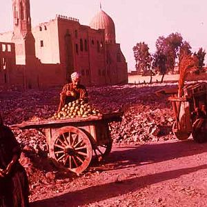 Bilder Antonio Margheriti