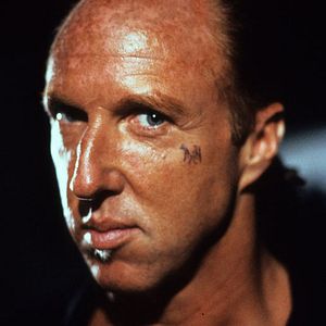 Bilder Tango und Cash