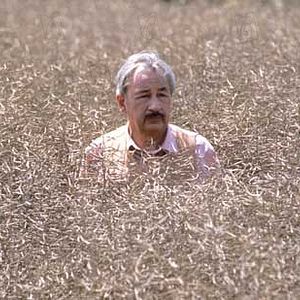 Bilder Richard Bohringer