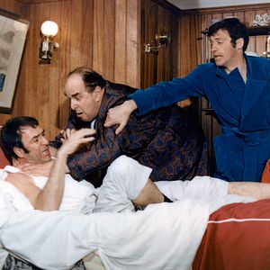 Bilder Der Schlaufuchs