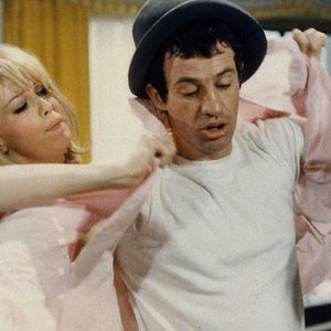 Bilder Der Schlaufuchs