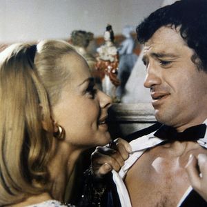 Bilder Der Schlaufuchs