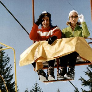 Bilder Der Schlaufuchs