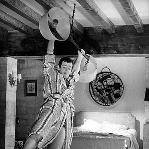 Bilder Der Schlaufuchs