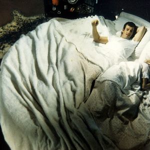 Bilder Der Schlaufuchs