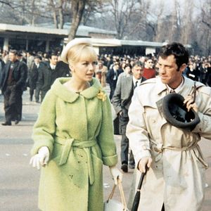 Bilder Der Schlaufuchs